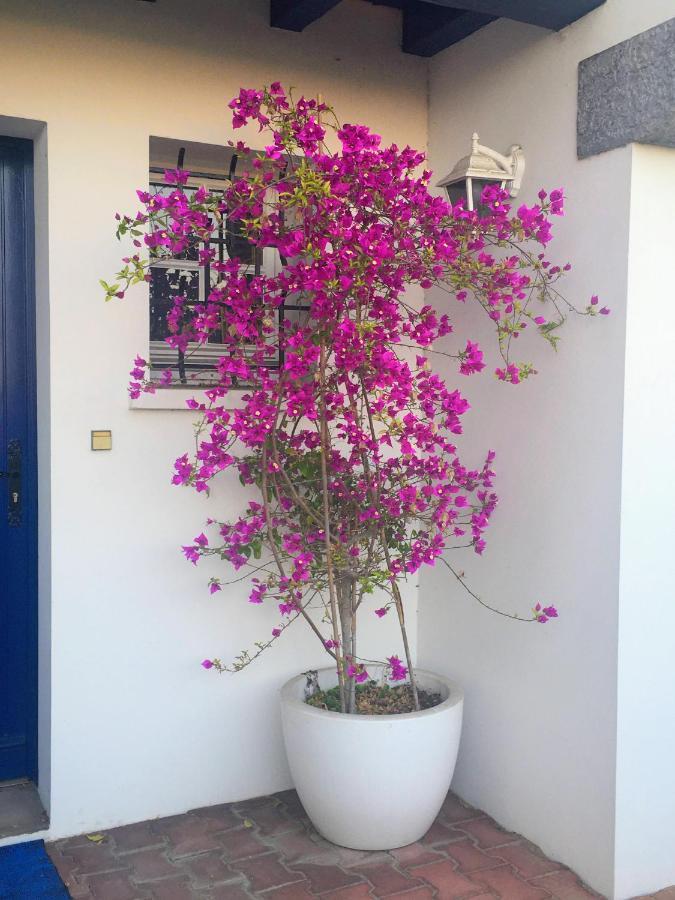 Haritza Acomodação com café da manhã Anglet Exterior foto